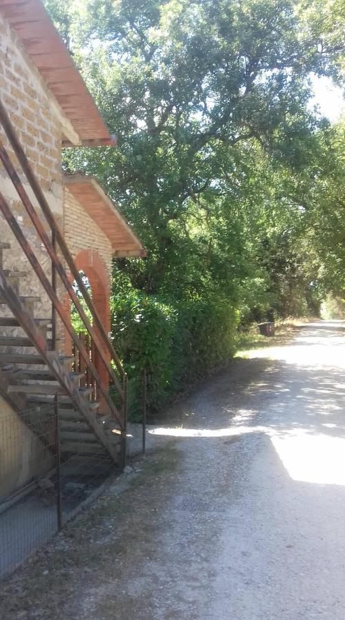 Вилла La Casa Di Lili Lugnano in Teverina Экстерьер фото